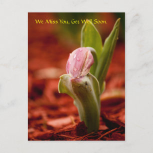 Get Well Soon Postcard