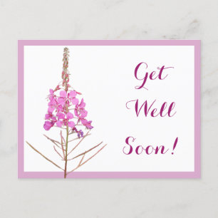 Get well soon pretty pink flowers beautiful floral postcard