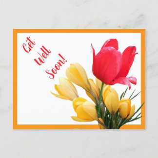 Get well soon pretty red tulip yellow crocus fun postcard