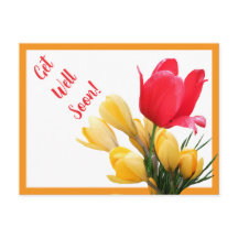 Get well soon pretty red tulip yellow crocus fun