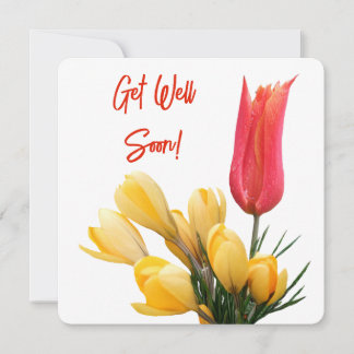 Get well soon pretty yellow crocus red tulip love holiday card