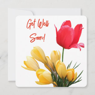 Get well soon pretty yellow crocus red tulip love holiday card