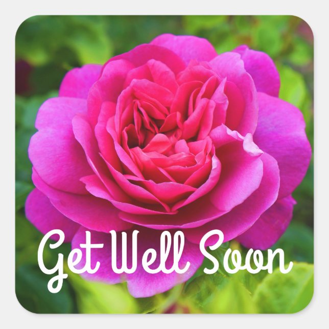 Get Well Soon Princess Anne Rose #1 Stickers (Front)