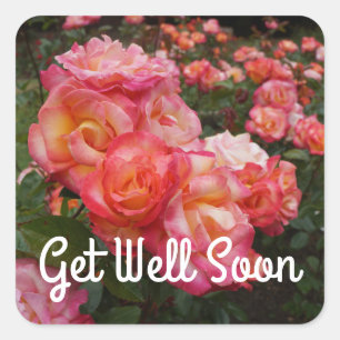 Get Well Soon Rainbow Sorbet Rose #4 Stickers