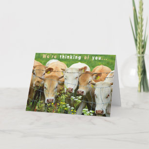 Get Well Soon  Ranch Farm Cattle Country Flowers Card