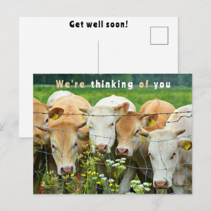 Get Well Soon Ranch Farm Cattle Country Flowers Postcard