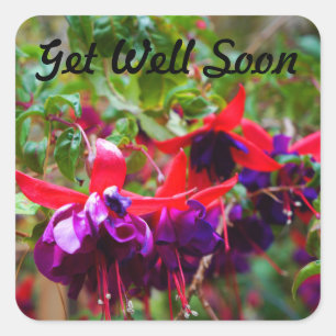 Get Well Soon Red & Purple Fuchsia #2 Stickers