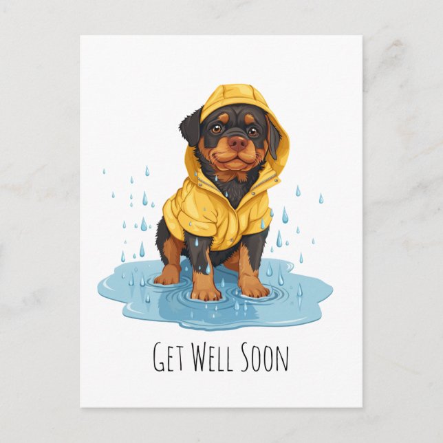 Get Well Soon Rottweiler Dog Wearing Raincoat Postcard (Front)
