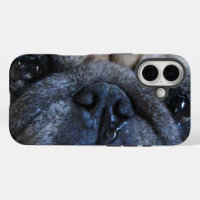 Get Well Soon Sick Pug Dog