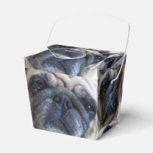 Get Well Soon Sick Pug Dog Favour Box
