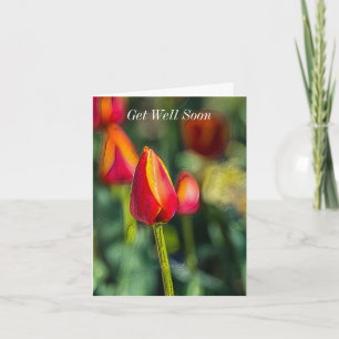 Get Well Soon Textured Tulip Garden Card