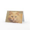 Get Well Soon: Tom Cat Card