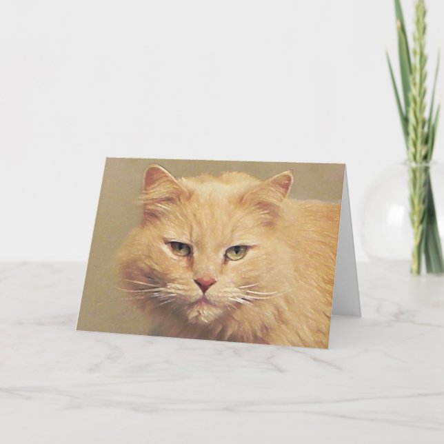 Get Well Soon: Tom Cat Card (Front)