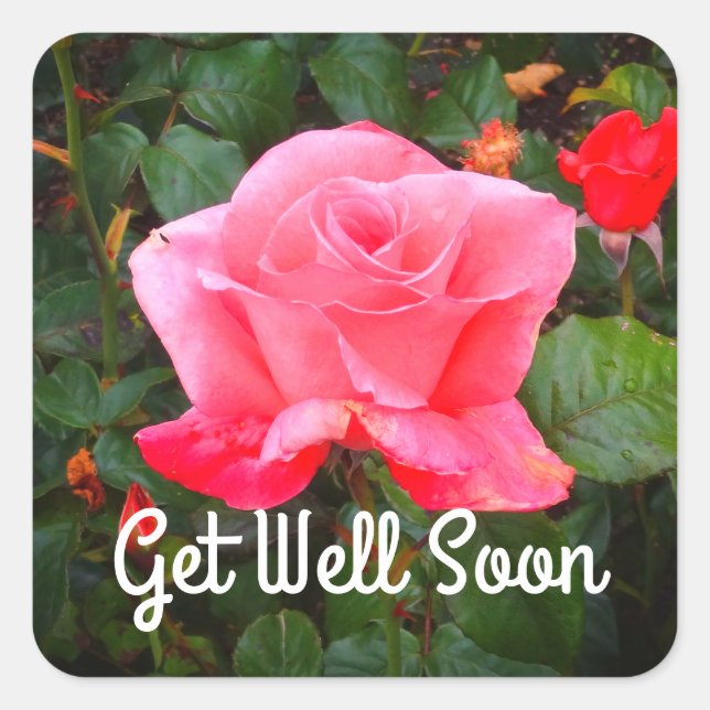 Get Well Soon Touch of Class Rose #1-2 Stickers (Front)