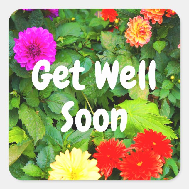 Get Well Soon Various Dahlias #1-1 Stickers (Front)