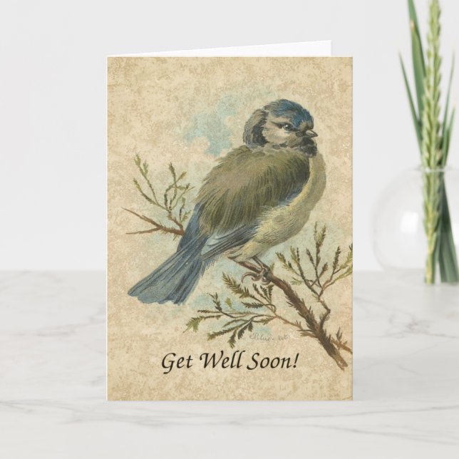 Get Well Soon, Vintage Bluetit Bird Card (Front)