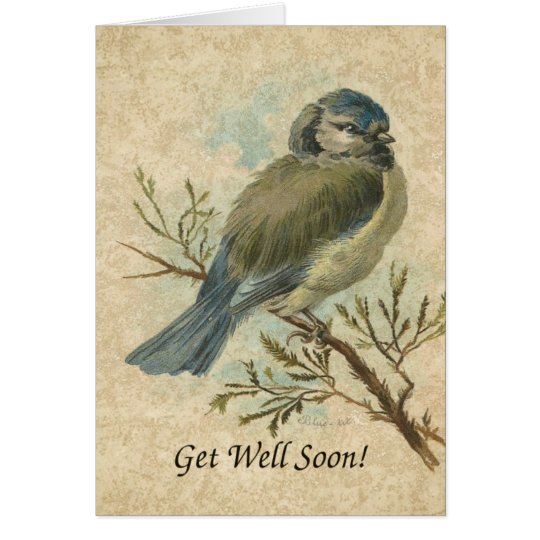 Get Well Soon, Vintage Bluetit Bird Card