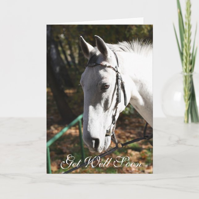 Get Well Soon White Horse Greeting Card (Front)