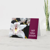 Get Well Soon Wishes White Orchid Card