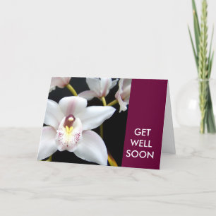 Get Well Soon Wishes White Orchid Card