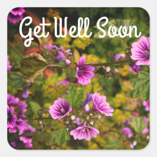 Get Well Soon Zebra Hollyhock Flowers Stickers