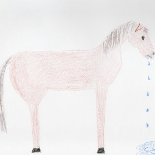Get Well - Sorry ... Horse Spittle Card
