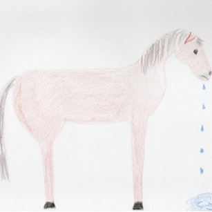 Get Well - Sorry ... Horse Spittle Card