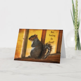 Get Well - Squirrel Greeting Card