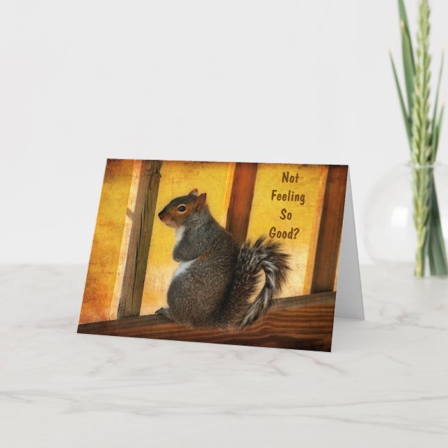 Get Well - Squirrel Greeting Card (Front)