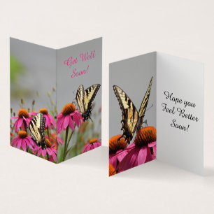 Get Well Swallowtail Butterfly, Pink Flower