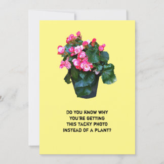 Get well tacky flowers floral pot, greeting card
