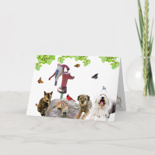 Get Well: the whole Kitten-caboodle: Holiday Card