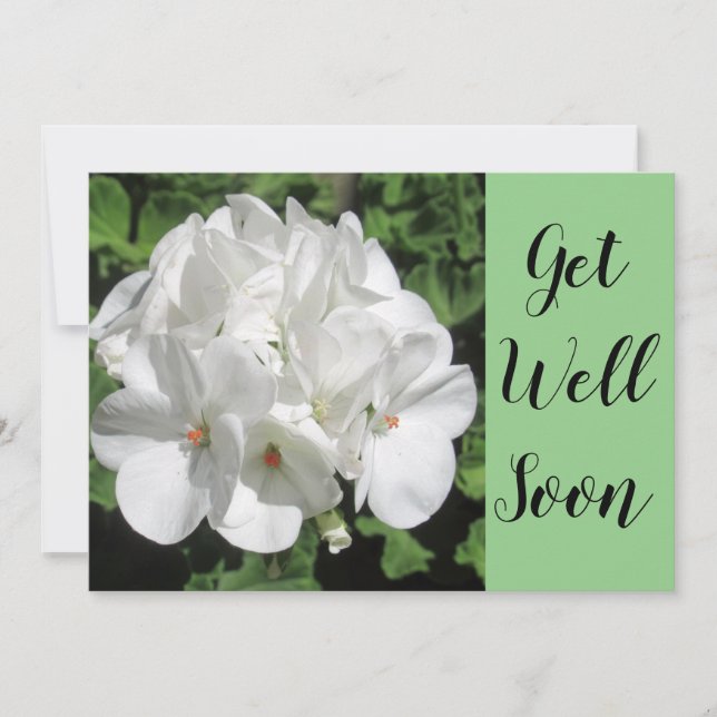 Get Well White Geranium Photography (Front)