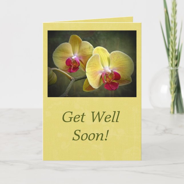Get Well Yellow Moth Orchids - Phalaenopsis Card (Front)