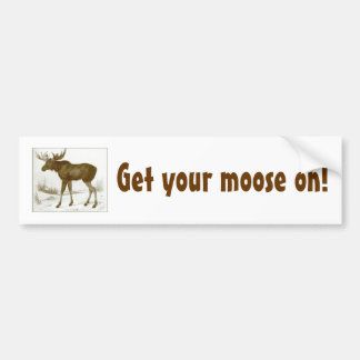 Get your moose on-bumper sticker