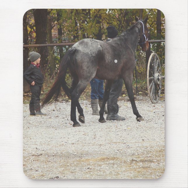 Getting a new horse mouse pad (Front)