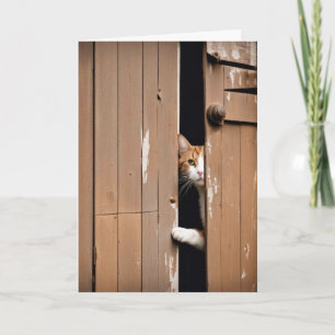 Getting Old Birthday Barn Cat Card