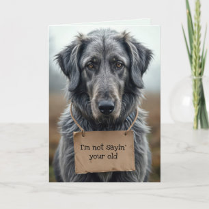Getting Old Grey Dog with Cardboard Sign Card