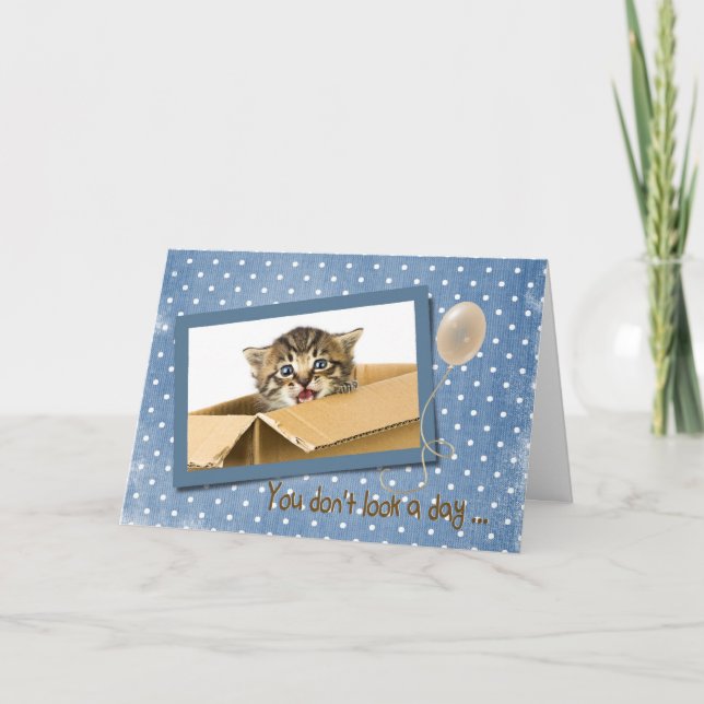 getting older birthday with cat in box card (Front)