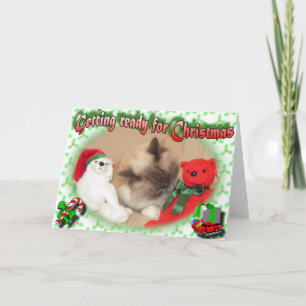 Getting ready for Christmas! Holiday Card