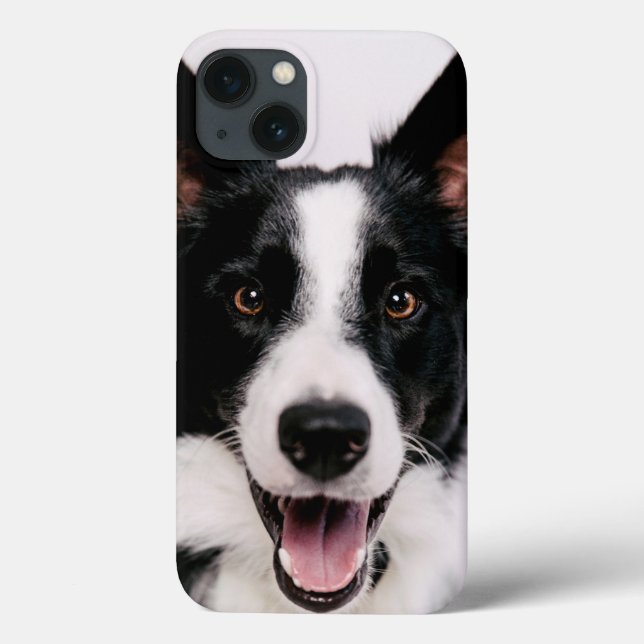 Getty Images | A Smiling Border Collie Case-Mate iPhone Case (Back)