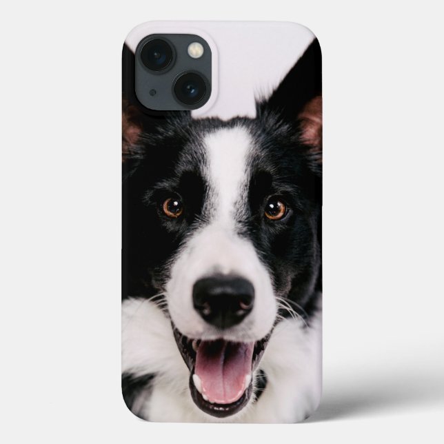 Getty Images | A Smiling Border Collie Case-Mate iPhone Case (Back)