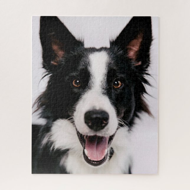 Getty Images | A Smiling Border Collie Jigsaw Puzzle (Vertical)