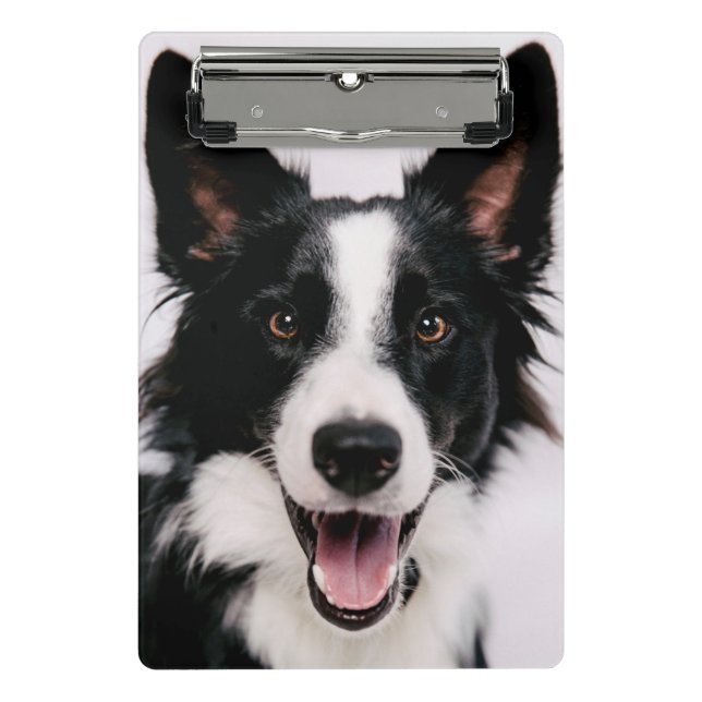 Getty Images | A Smiling Border Collie Mini Clipboard (Front)