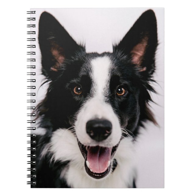 Getty Images | A Smiling Border Collie Notebook (Front)