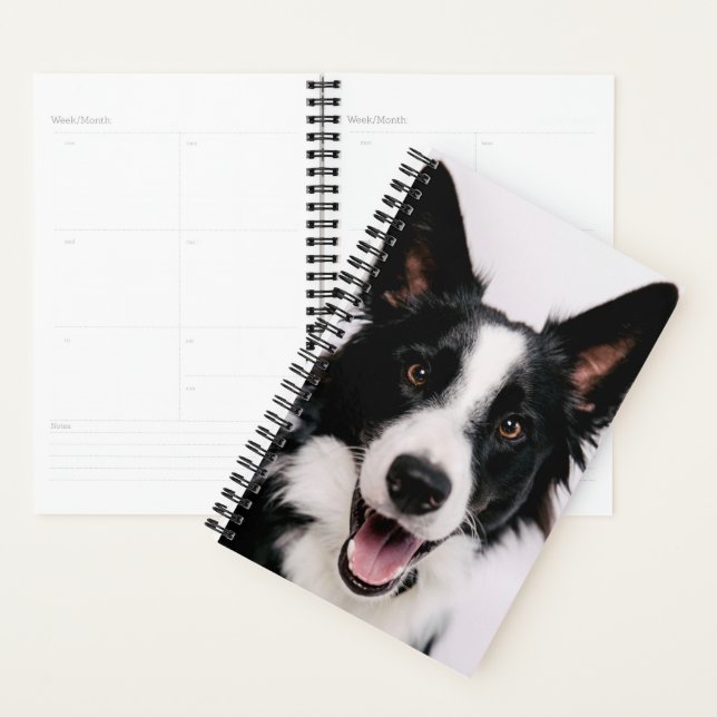 Getty Images | A Smiling Border Collie Planner (Display)