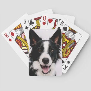 Getty Images   A Smiling Border Collie Playing Cards