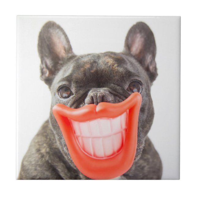 Getty Images | A Smiling Dog Ceramic Tile (Front)