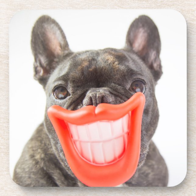 Getty Images | A Smiling Dog Coaster (Front)