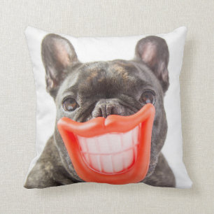 Getty Images   A Smiling Dog Cushion